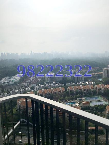 D'Leedon (D10), Condominium #158979072